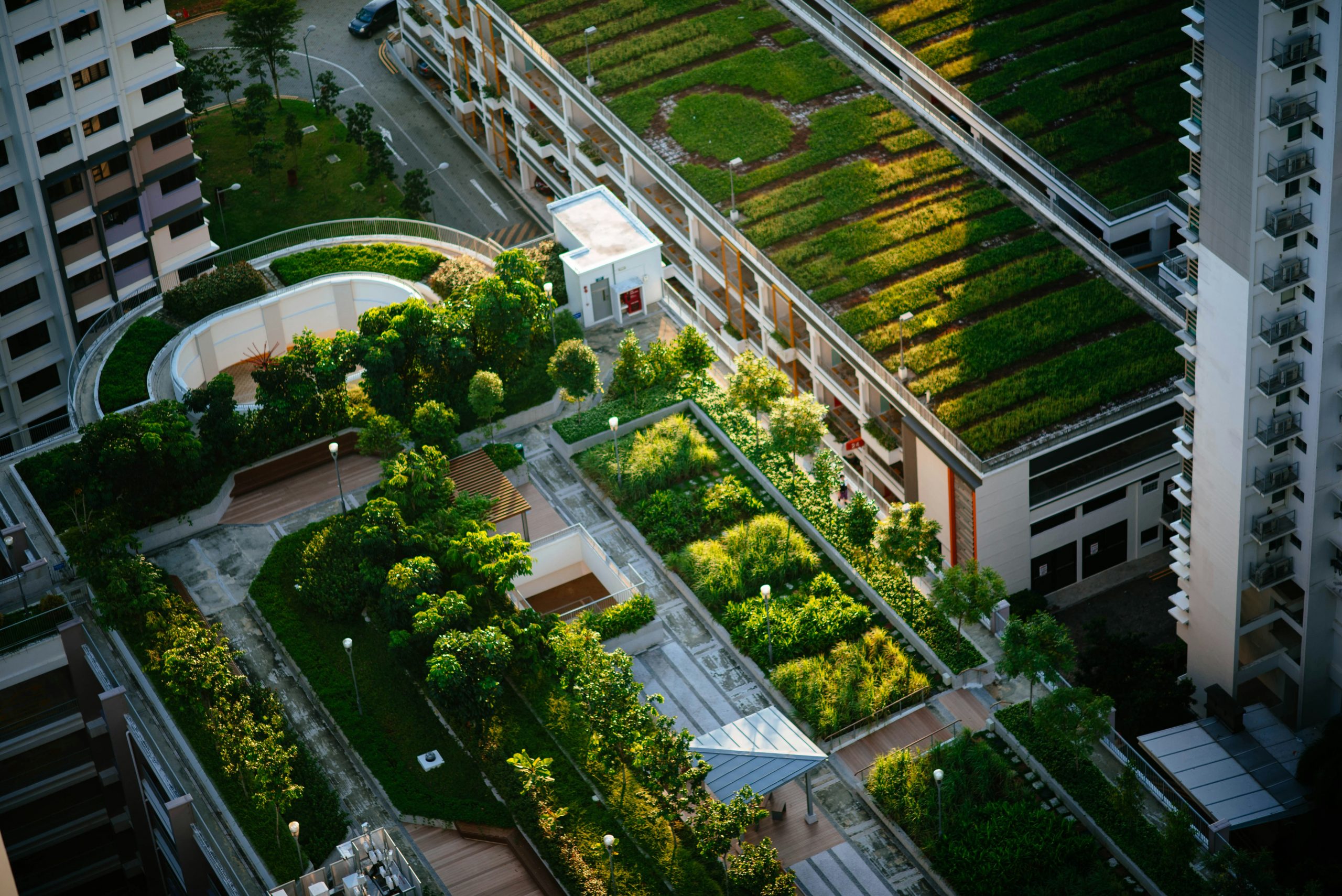 Smart Landscape: A Necessary Step Towards Sustainability